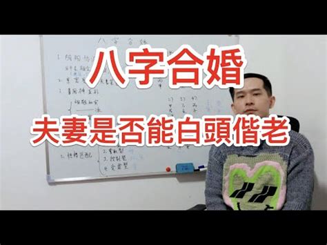 八字合婚分數